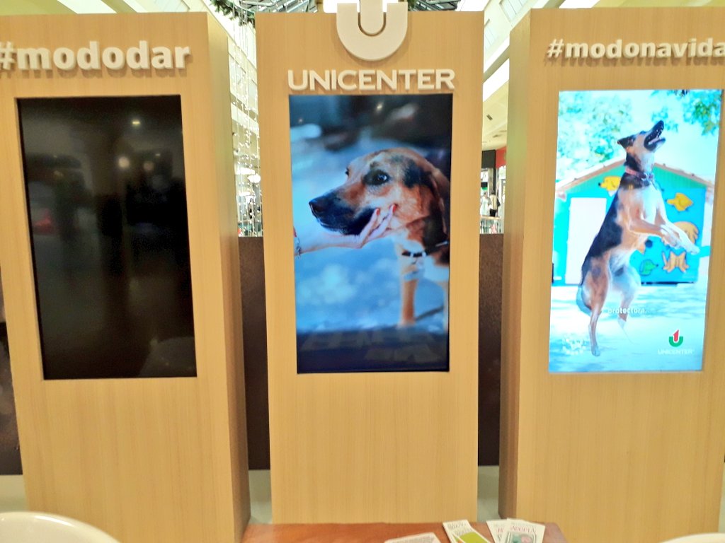 OvolodeCaronte's tweet photo. Aplaudo la iniciativa de @unicenter_shop y su espacio para el proyecto 4 patas. Adopción responsable y mucho amor.
#ModoDar #MODONAVIDAD https://t.co/q5MGTAAOxa