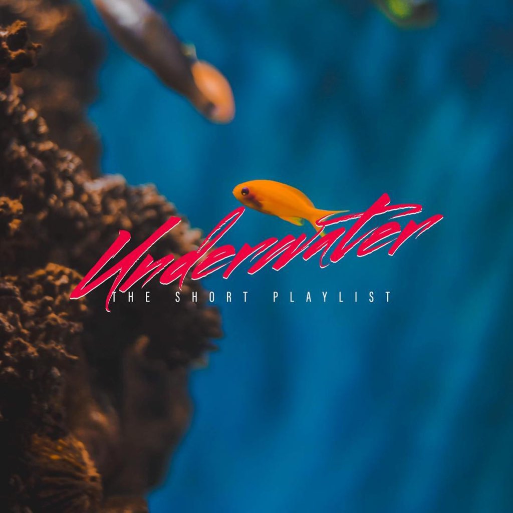 RemitanoEnt's tweet photo. @RemitanoEnt #TheUnderwaterSP Release Party on December 21st, save the date at Club Indigo, Sheraton Hotel, Abuja ๐๐.
Itโs gonna be a fun filled experience with the gang ๐คฉ๐ค.
-
โฑ: 7PM Blue Carpet, 8PM Main Event.
#remitano #clubindigo #abuja #UnderwaterSP #releaseparty https://t.co/zjK1RFxNhC