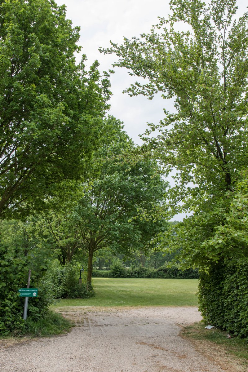 Dichter bij de natuur kun je niet komen. Op natuurkampeerterrein Landgoed De Barendonk ervaar je rust, ruimte en vrijheid.

#natuur #kamperen #natuurkampeerterrein #barendonk #landgoeddebarendonk #landvancuijk