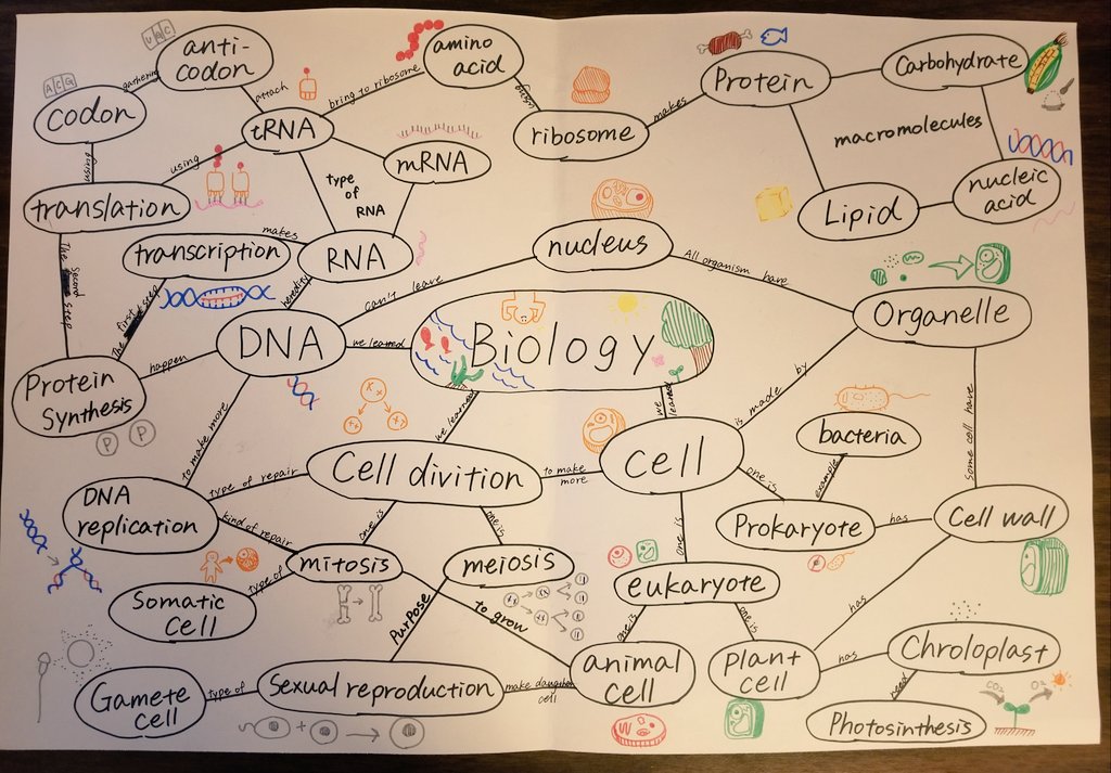 It's finals week here at TWHS! Alternative assessments like this concept web offer an awesome opportunity for students to show their learning. #bioislife #TESOL