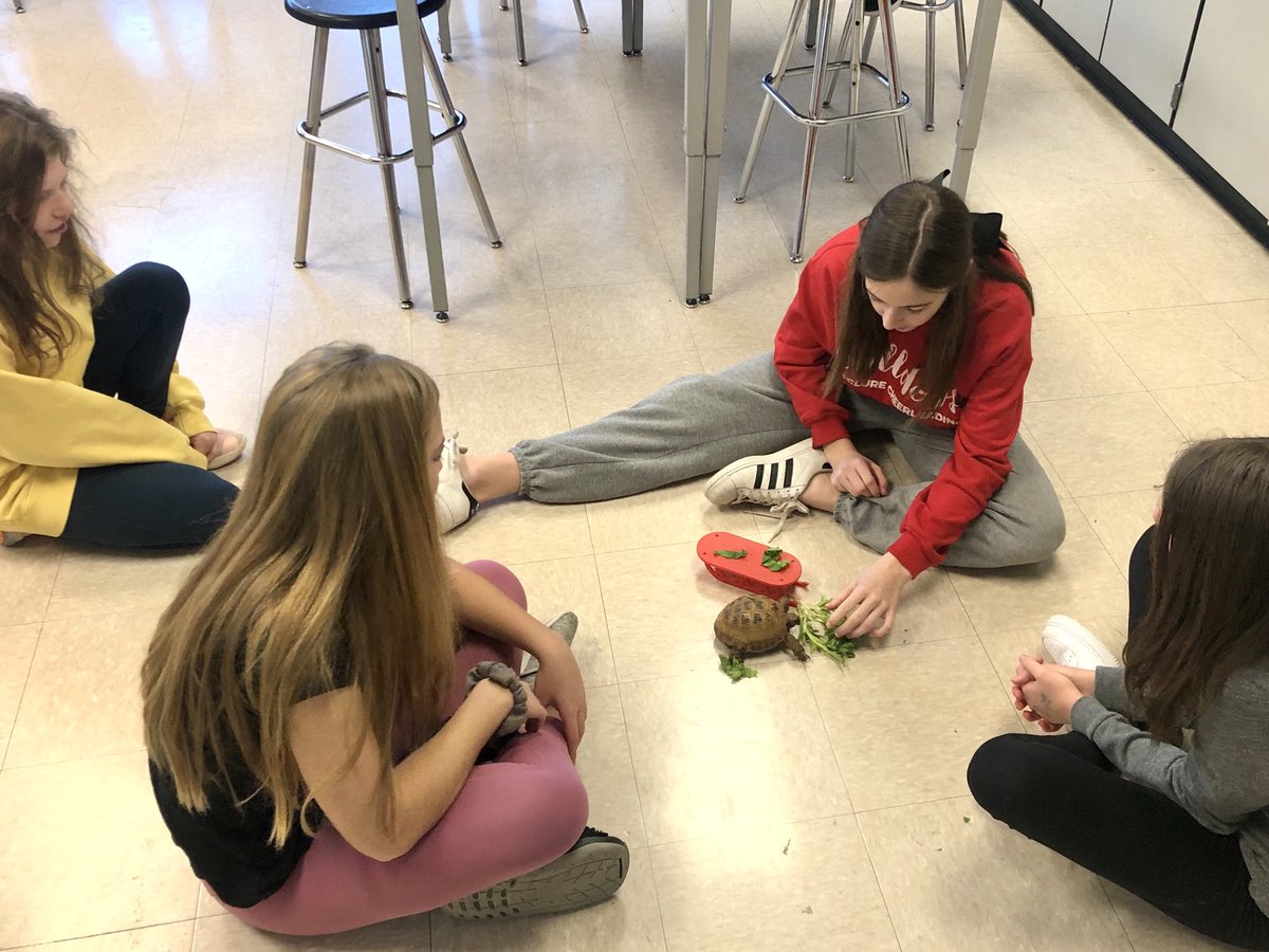 Time to feed Rhett her go-to 🥬 ⁦<a href="/tkellysci/">Theresa Kelly</a>⁩ #mcbulldogs101 #mcbulldogs #wsd101