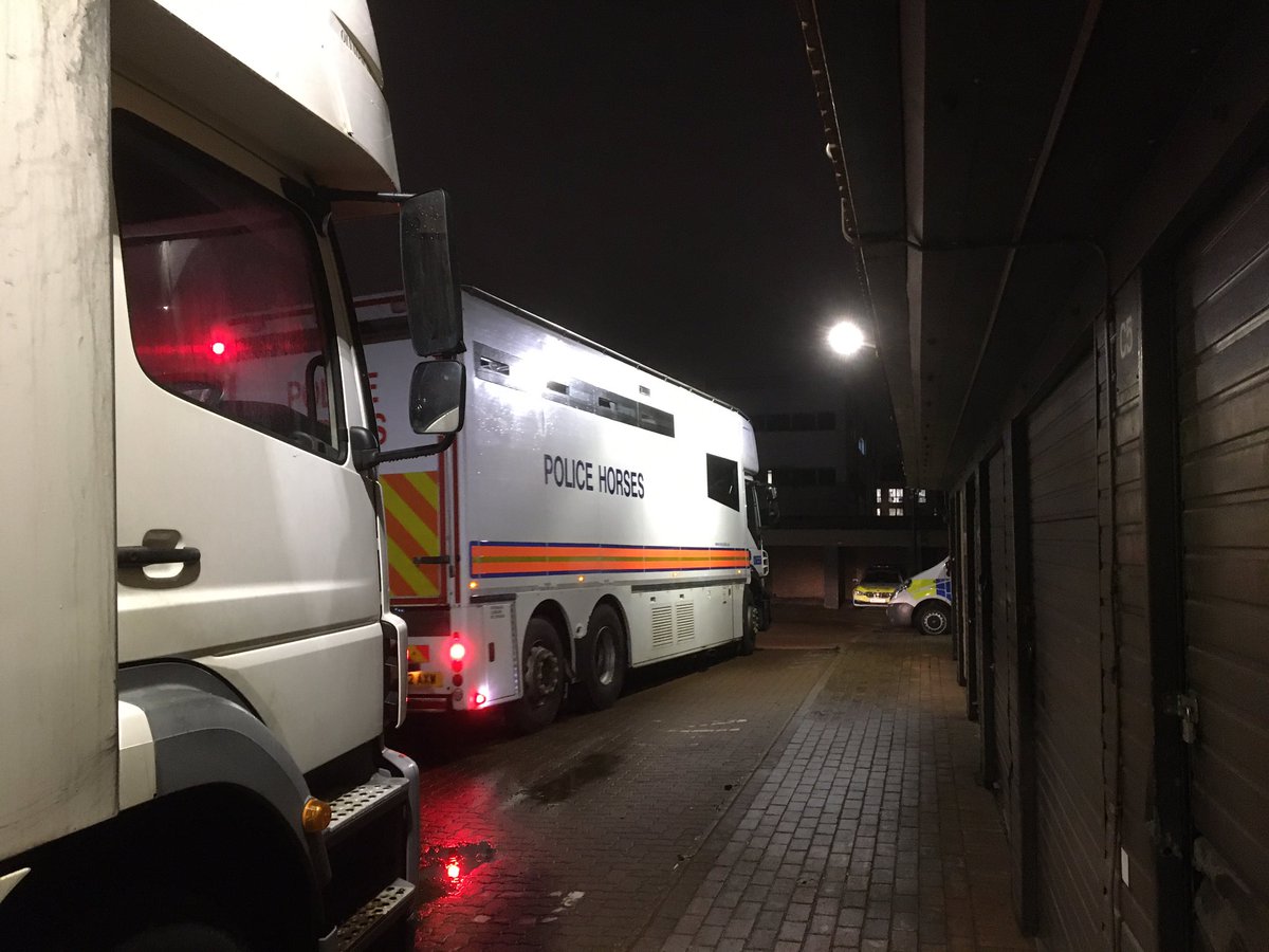 TVP_horses's tweet photo. Aurora has packed her bags and is heading off to London on a working holiday to assist @MetTaskforce Watch this space to see her adventures! P5927 https://t.co/FiYJ0DzrFn