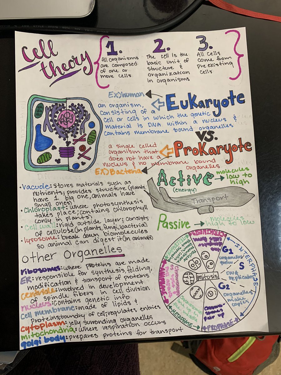mspattersonwhs's tweet photo. When your students make Doodle notes so beautiful that you have to take a picture and use them next year! 🙌🏾 #biologydoodlenotes #eocreview https://t.co/b5bYrwOqkK