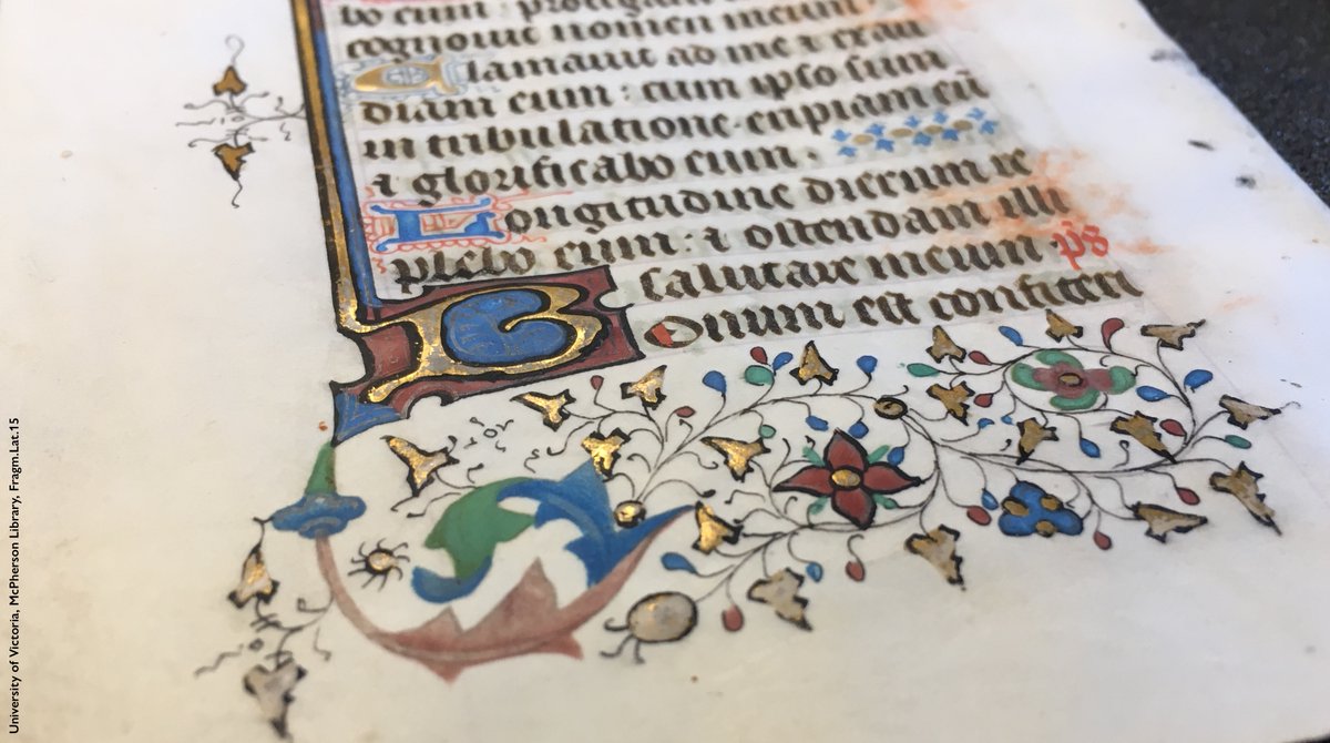 Photo of part of a fragment of a medieval manuscript (@UVicSC, Fragm.Lat.15): a leaf with multiple lines of text in black ink, with a large initial /B/ in gold on a dark red ground, infilled with blue. A simple bar-border extends up from the letter in red, blue, & gold. Below all is a decorative cluster of vines, ivy-leaves, & flowers, all in colours & gold. One flower looks like a poinsettia.