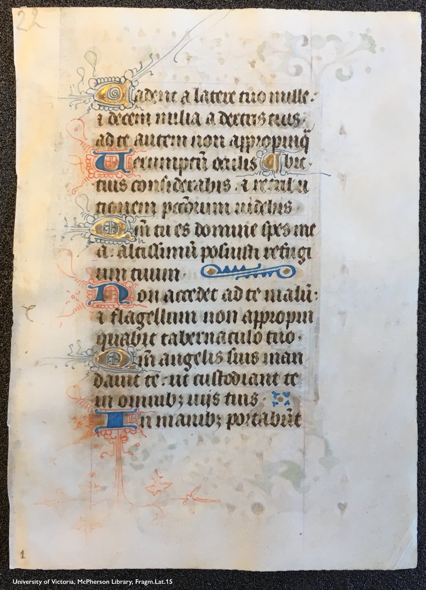 Photo of a fragment of a medieval manuscript (@UVicSC, Fragm.Lat.15): a leaf with 16 lines of text in black ink, in a clear hand. Every 3rd line starts with a decorative initial, alternating gold with blue pen-flourishing and blue with red pen-flourishing. At the mid-point of the page is a decorative line-filler consisting of 2 gold dots & blue painted scrollwork.