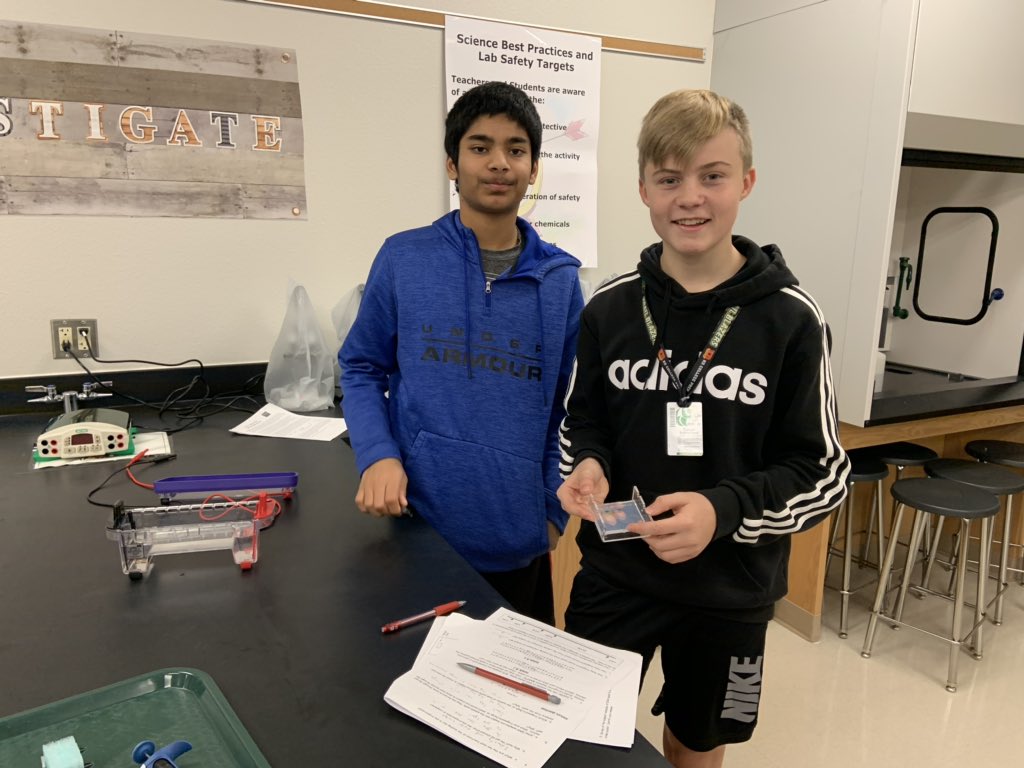LTHS_science's tweet photo. PreAP Biology students performing gel electrophoresis to analyze crime scene DNA evidence! #blazerbattles #ourFISDstory @LebanonTrailHS https://t.co/upR7Uq1U96