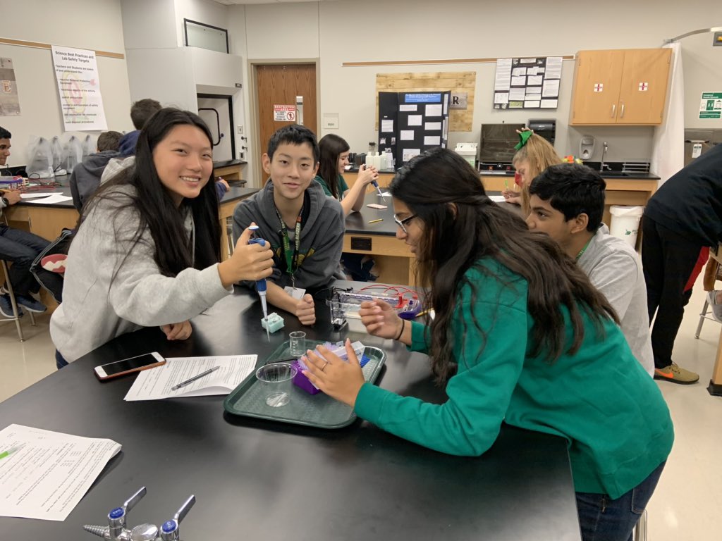 LTHS_science's tweet photo. PreAP Biology students performing gel electrophoresis to analyze crime scene DNA evidence! #blazerbattles #ourFISDstory @LebanonTrailHS https://t.co/upR7Uq1U96