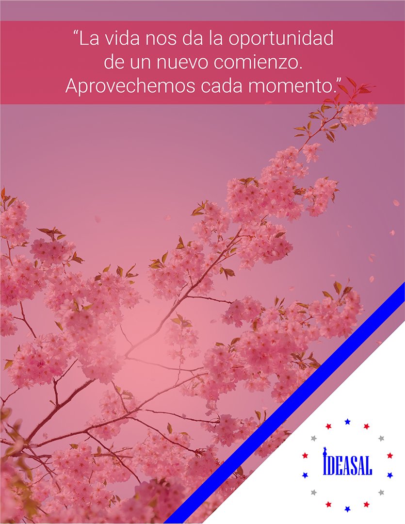 _IDEASAL's tweet photo. IDEASAL | Cita del día

Que nada ni nadie bloquee nuestra visión y metas. Aprovechemos las oportunidades, seamos mejores personas.

#ideasal #usa #elsalvador #california #SSEsTuyo #naturaleza #flower #quotes #org #goals https://t.co/jM0C6gBJEr