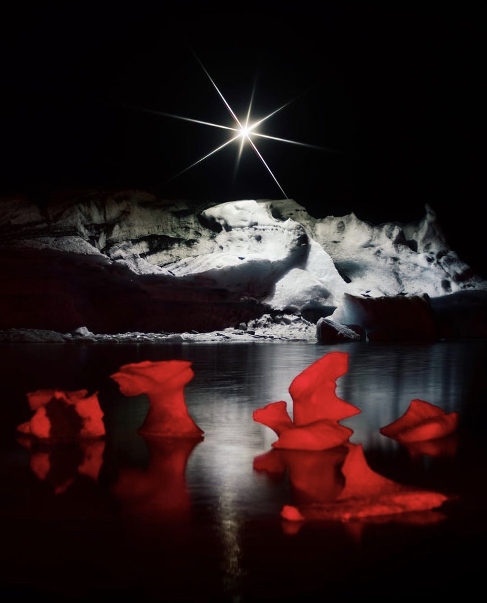 Travel Alaska tweet media