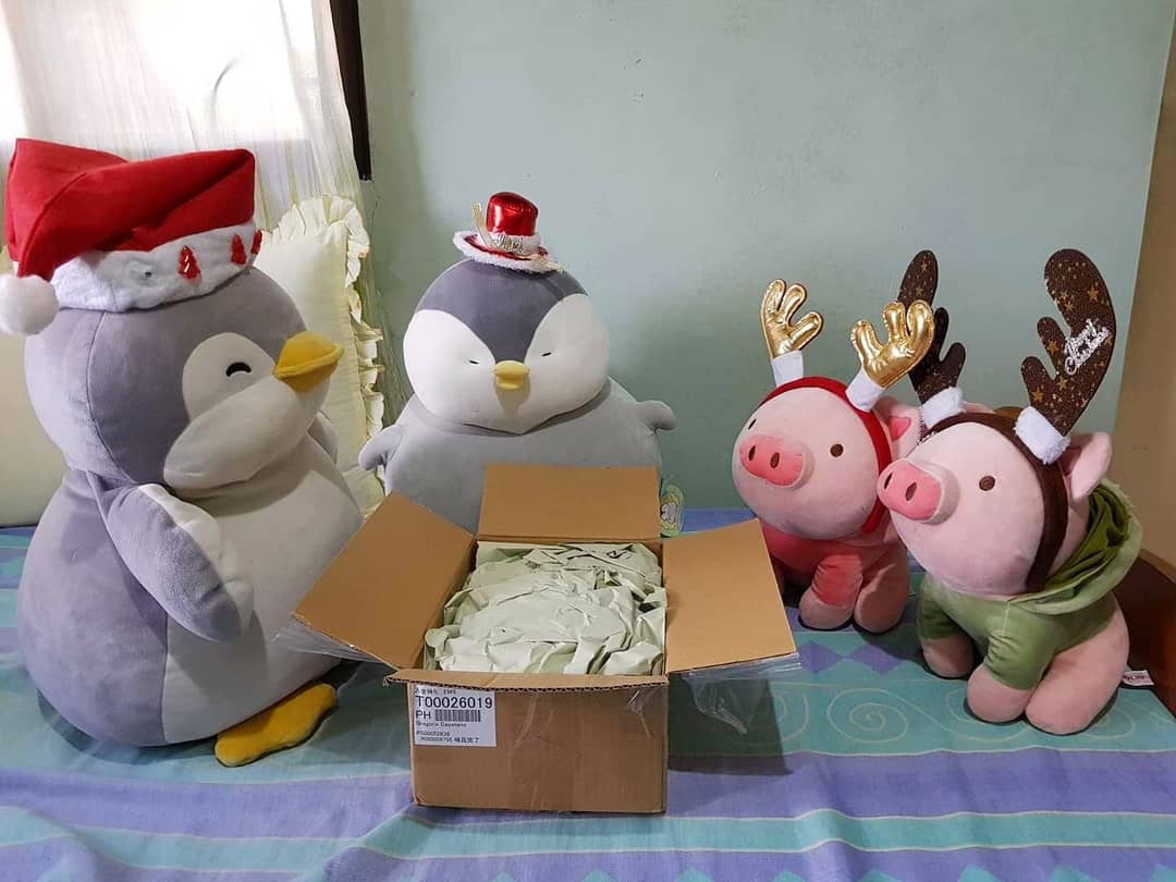 ChubbyPingu's tweet photo. Meet our new friend, Pig, from The Dam Keeper. 😍🐧🐷❤️ #penguins #chubbypingu #cute #cutepenguin #pingu #fat #penguinplushie #penguin #plushie #tonton #chubby #pig #porkypig #pigplushie #pochapeng #포챠펭 #thedamkeeper #thedamkeepergraphicnovel https://t.co/sW2PA5NJFk