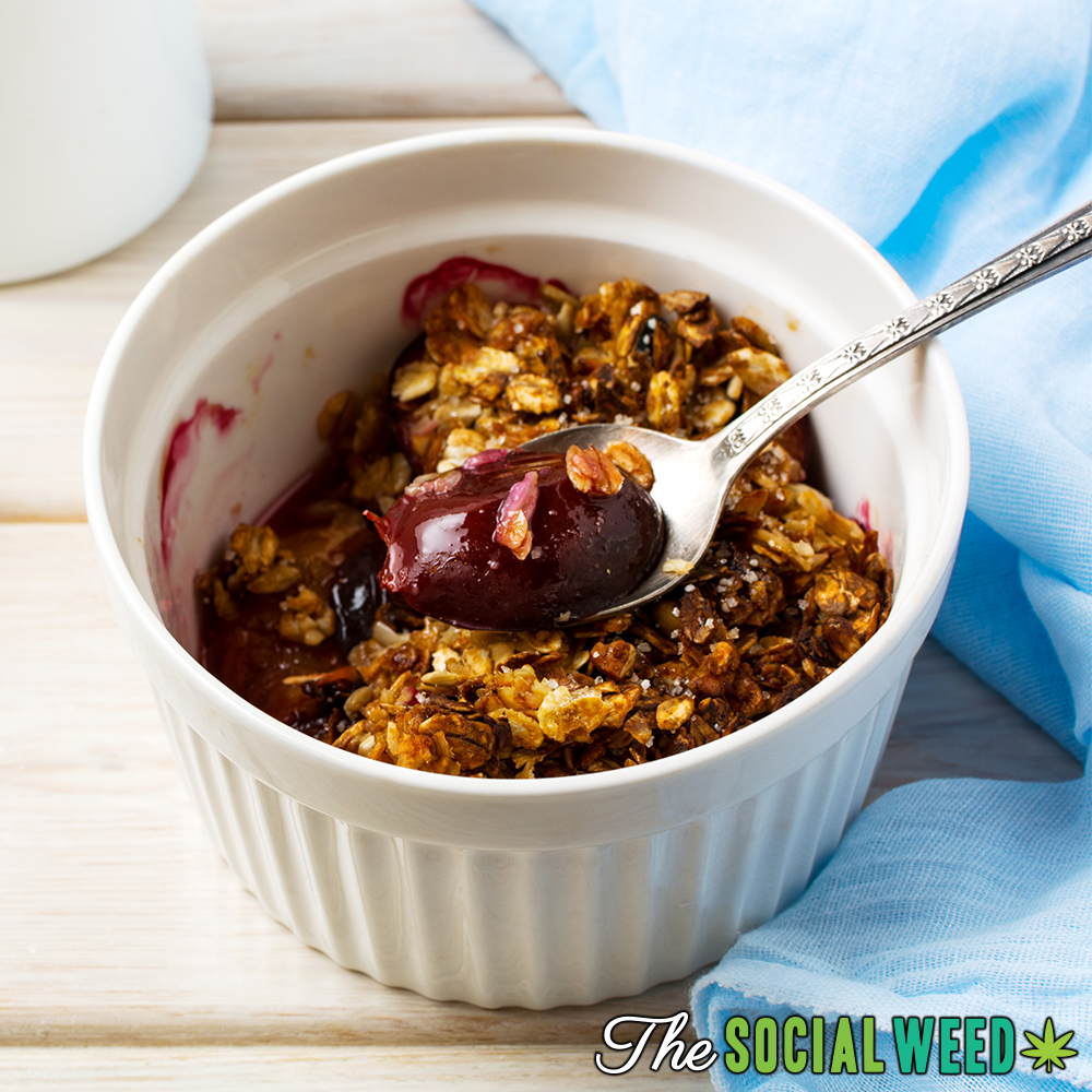 This fun CBD recipe features an easy, healthy and delicious Plum Rawnola that is made with a blend of dried plums, oats, cashews, coconut, and chia seeds for a nutrient dense treat. Find the full recipe at TheSocialWeed.com/recipes

#TheSocialWeed #LetsGetSocial #TastyTuesday
