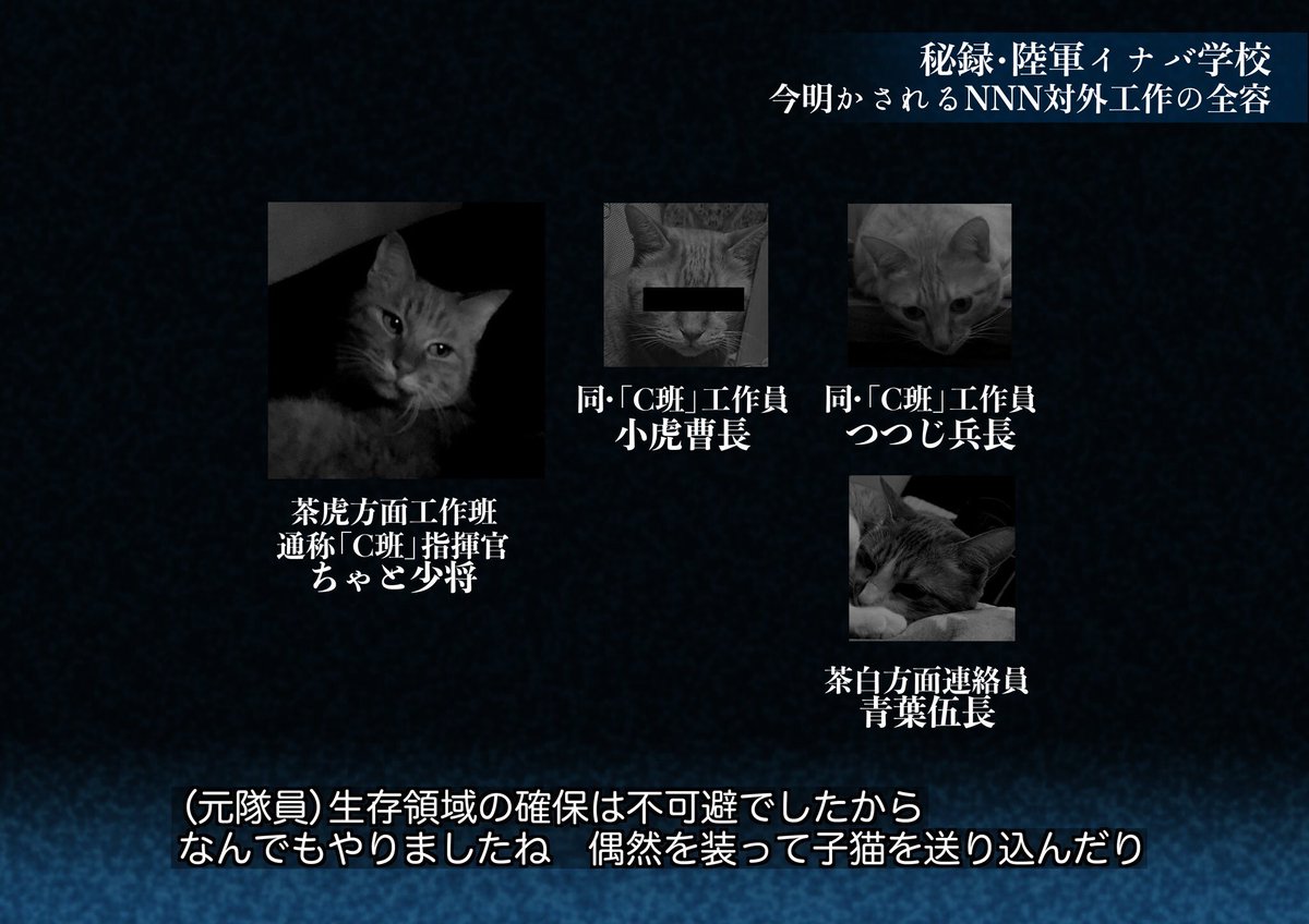 飼い猫が亡くなるとなぜかじきに新しい猫がやってくるおうちの不思議 引継ぎしてるのかな Togetter