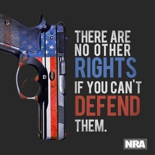 JustHolsterIt's tweet image. Like this if you are #ProSecondAmendment