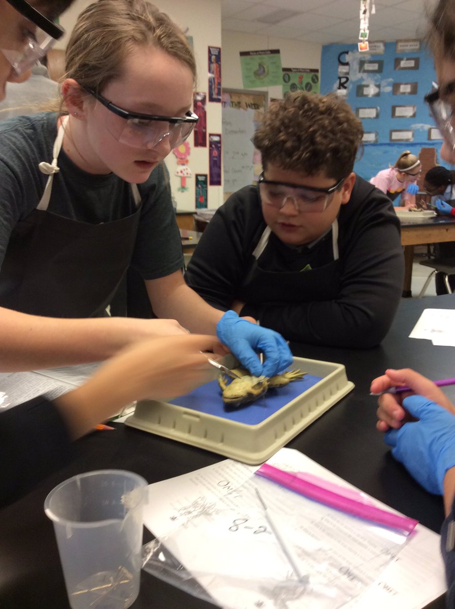 It’s the most wonderful time of the year! #frogweek <a href="/CrandallMiddle/">Crandall Middle</a> #youbelongatCMS <a href="/OfficialCISD/">Crandall ISD</a>