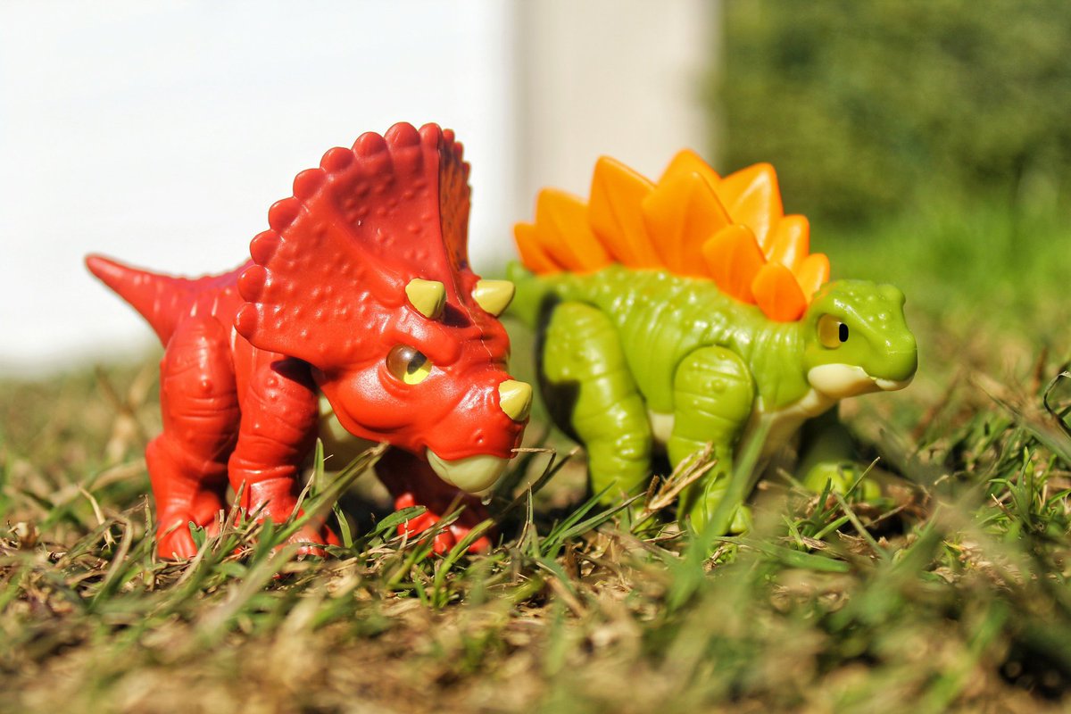 Stiggy1R6's tweet photo. Yo, here’s chip the triceratops and taro the stegosaurus #stegosaurus #triceratops #dinocrew https://t.co/Ia3hOJVs7x