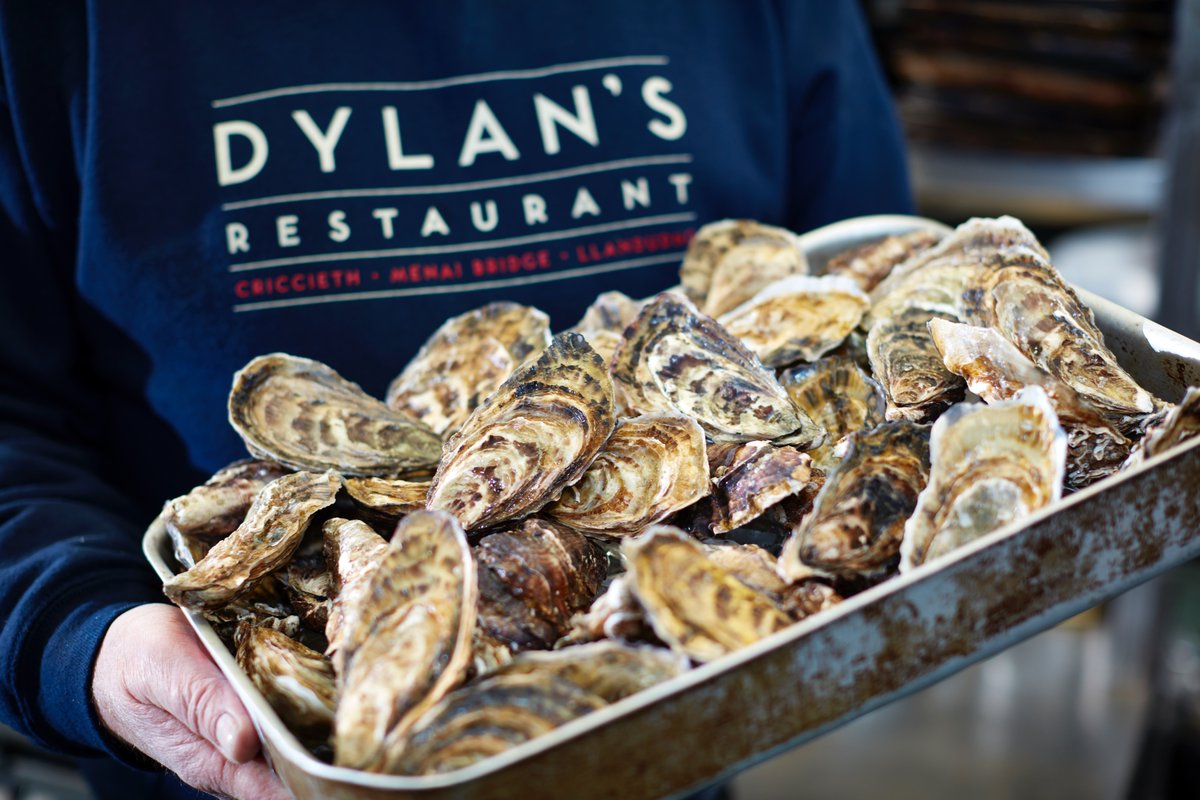 FoodDrinkWIB's tweet photo. Are you a Welsh #food or #drink business looking to give back to your #community? We're coordinating hampers with @DylansNWales for those who may not be able to experience #Christmas this year. Send us a dm for mailing address to send gifts. Deadline to send is Dec 19🌟#FDWIB https://t.co/2kss7d081u
