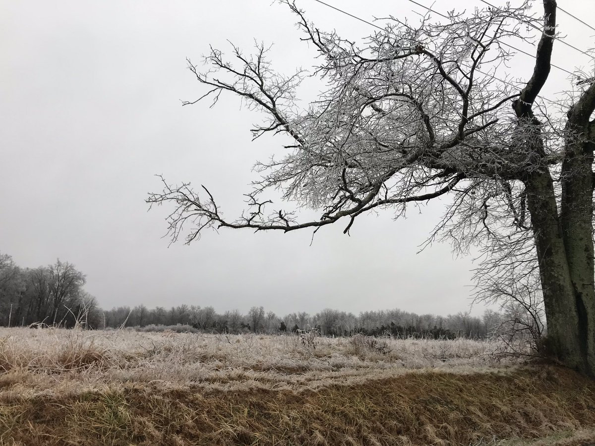 saracompion's tweet photo. Resolute!
Cold day in New Jersey
#frozen #nofilter #nature #stopandstare #getoutside #winter #ice #icetrees❄️ #beautiful #newjersey https://t.co/ivpVTFYvXC