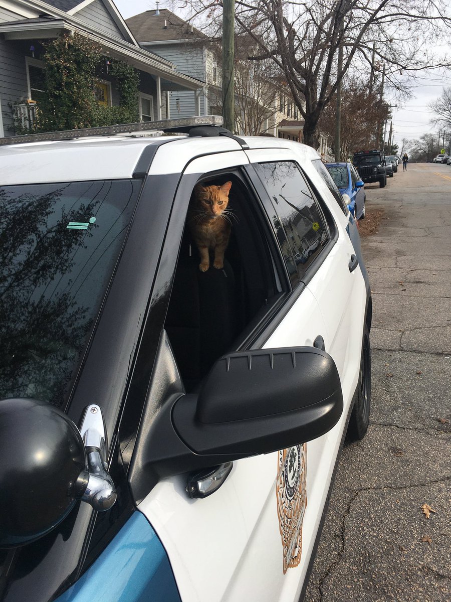 raleighpolice's tweet photo. Don’t mess with Oscar today.
He’s on our side 🐱🚔 #KittyCop #RaleighPolice https://t.co/RPGTO1NBli