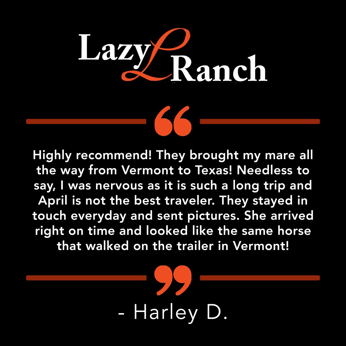 Harley loved our communication while transporting April from Vermont to Texas!

Leave us a positive review on Google and your review could be featured next: g.page/OhioLazyLRanch…