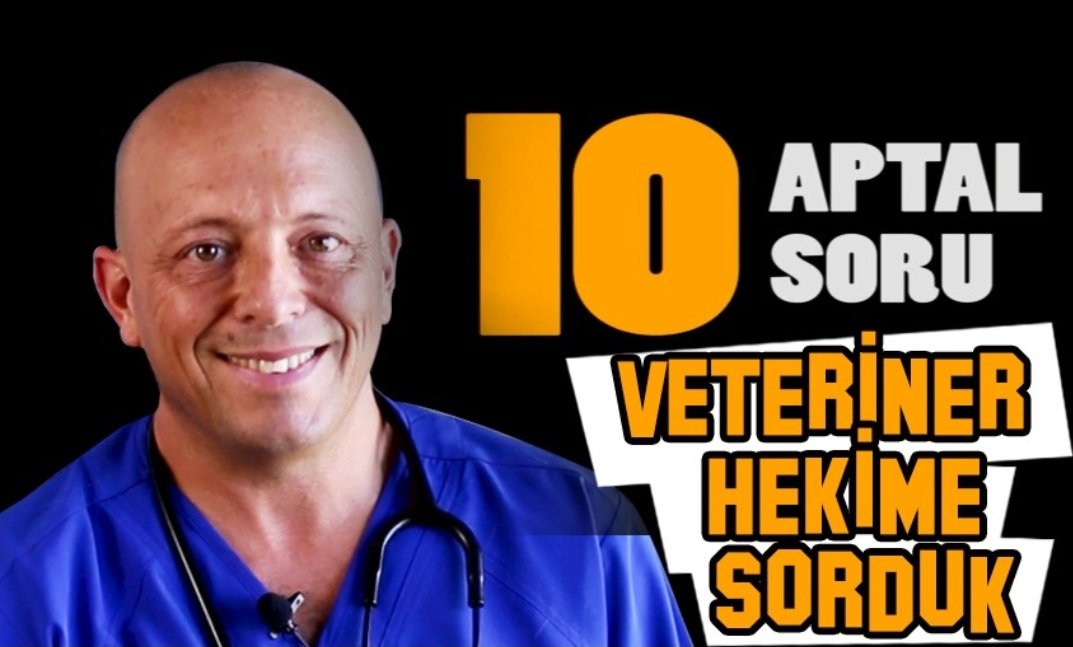 10 Aptal Soru, yeni bölümü ile karşınızda..Bu haftaki konuğumuz ünlü veteriner hekim Ateş Barut. 
youtu.be/qX9HCT0X8TU