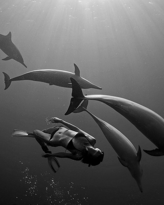 _visualfantasy's tweet photo. THE LITTLE MERMAID SWIMMING HER DOLPHIN FRIENDS UNDER THE SEA https://t.co/H7znA3ujss