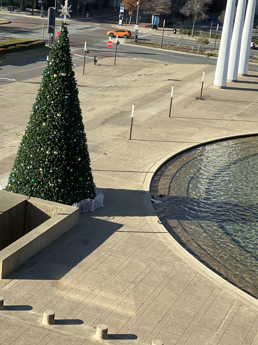 cmjsgates's tweet photo. New family of ducks in the pond @CityOfDallas Thanks @DallasParkRec for providing a ramp. They are so tiny they are hard to see but the look just south of the tree shadow.  #DallasDucks https://t.co/pOIqISTLeX