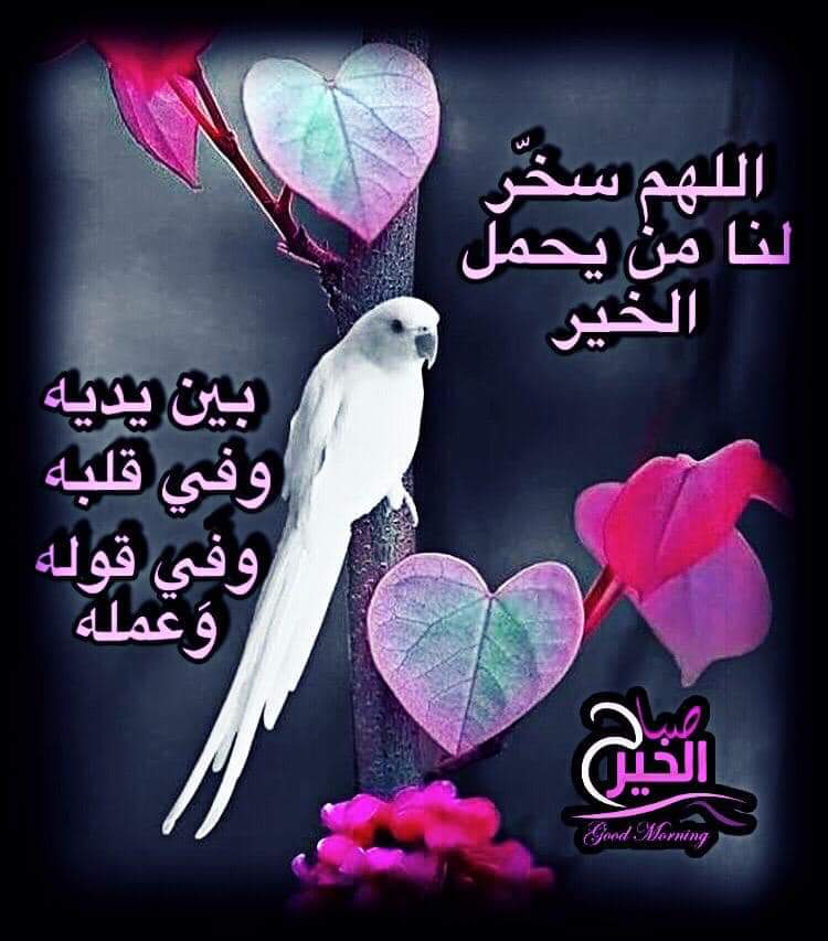 Ashraf Azzam (@ashrafazzam54) on Twitter photo 