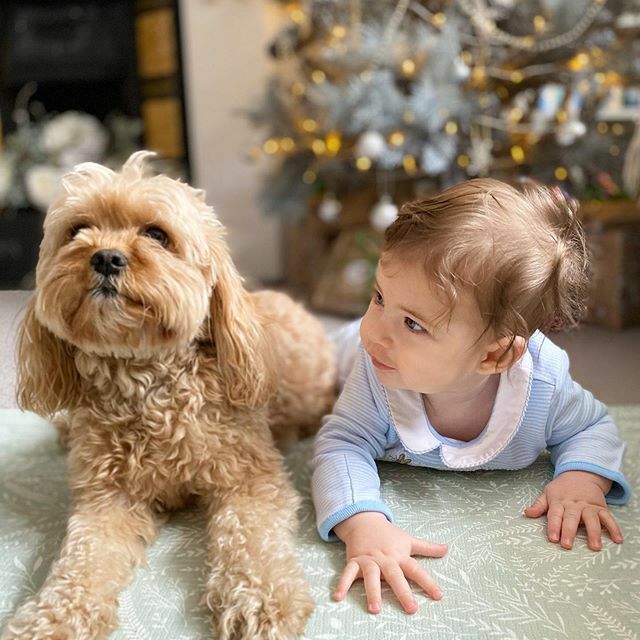 The Parent & Baby Coach tweet media