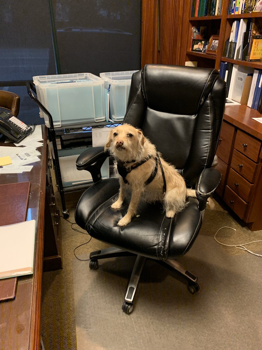 Sniffen & Spellman, P.A. (@sniffenlaw) on Twitter photo Wilson Spellman struggles over end of year bonuses, and the rumors he knows will be muttered that he favors dogs over cats. Heavy is the head that wears the crown. <a href="/TallyGator90/">Rob Sniffen</a> @FlaBarAnimalLaw Wilson Spellman struggles over end of year bonuses, and the rumors he knows will be muttered that he favors dogs over cats. Heavy is the head that wears the crown. <a href="/TallyGator90/">Rob Sniffen</a> @FlaBarAnimalLaw