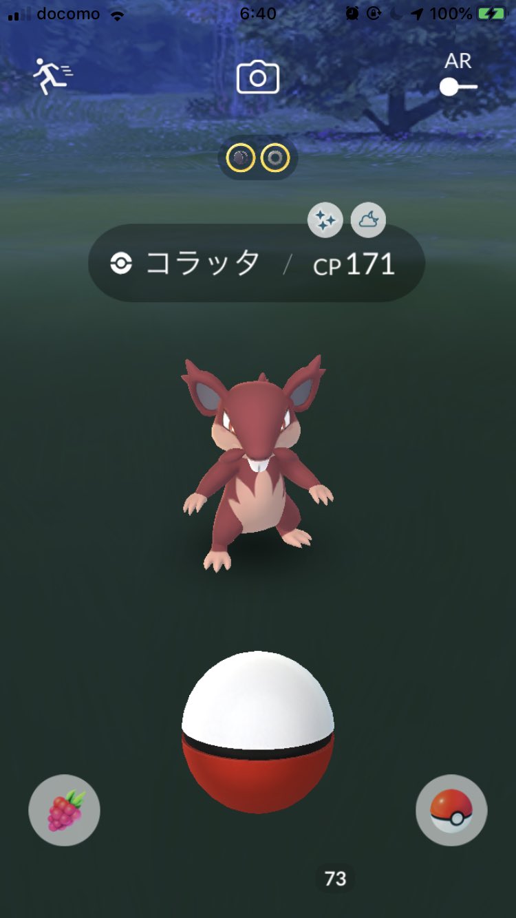 ラッタ色違い Twitter Search Twitter