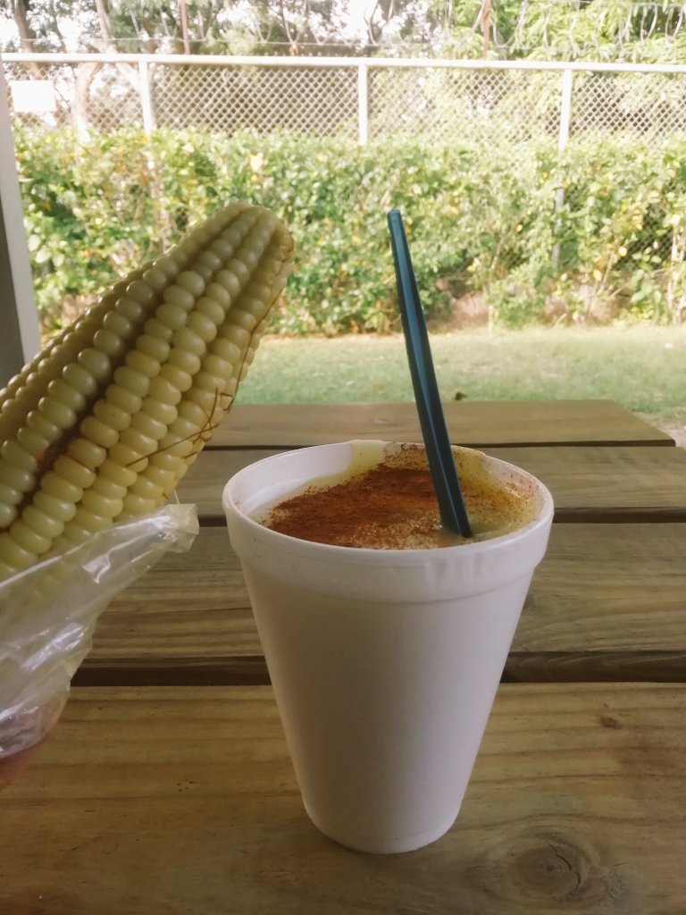 KODIGOSV's tweet image. Tardes típicas en Kodigo🌽 #WorkIsFun #CodingFuel #WholesomeWorkplace