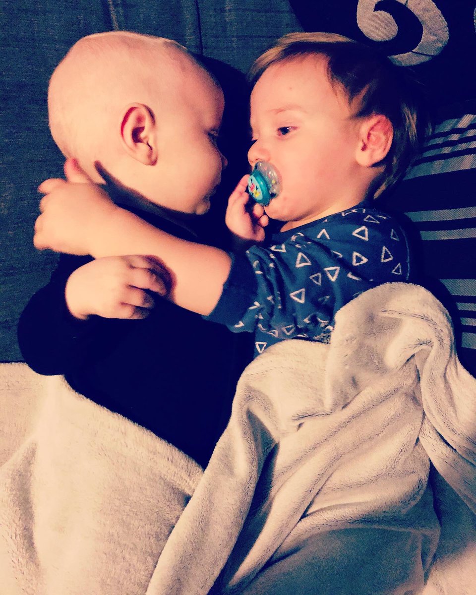 nufclau_'s tweet photo. My babies are so adorable 🥰🥰 https://t.co/WQlfDwVLEk