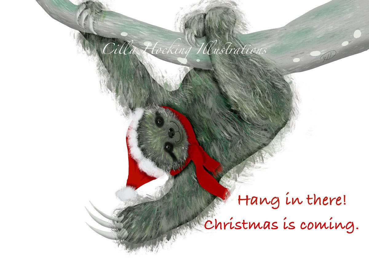 CillaHocking's tweet photo. https://t.co/nQ2Wib4Ccf