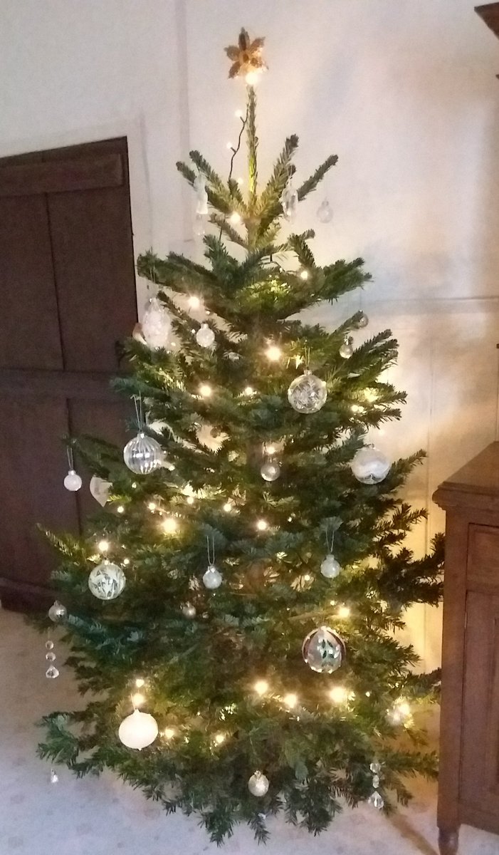 Sue_T2O's tweet photo. OH is #TreeElf now that #Sprog2 has left home.
He's gone for crystal, glass simplicity, and white lights. https://t.co/u95myBwexR