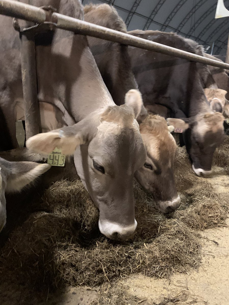 anson_ag's tweet photo. Thanks for talking Agriculture #dairy #vtcapitol4aday https://t.co/R57TbgZX52