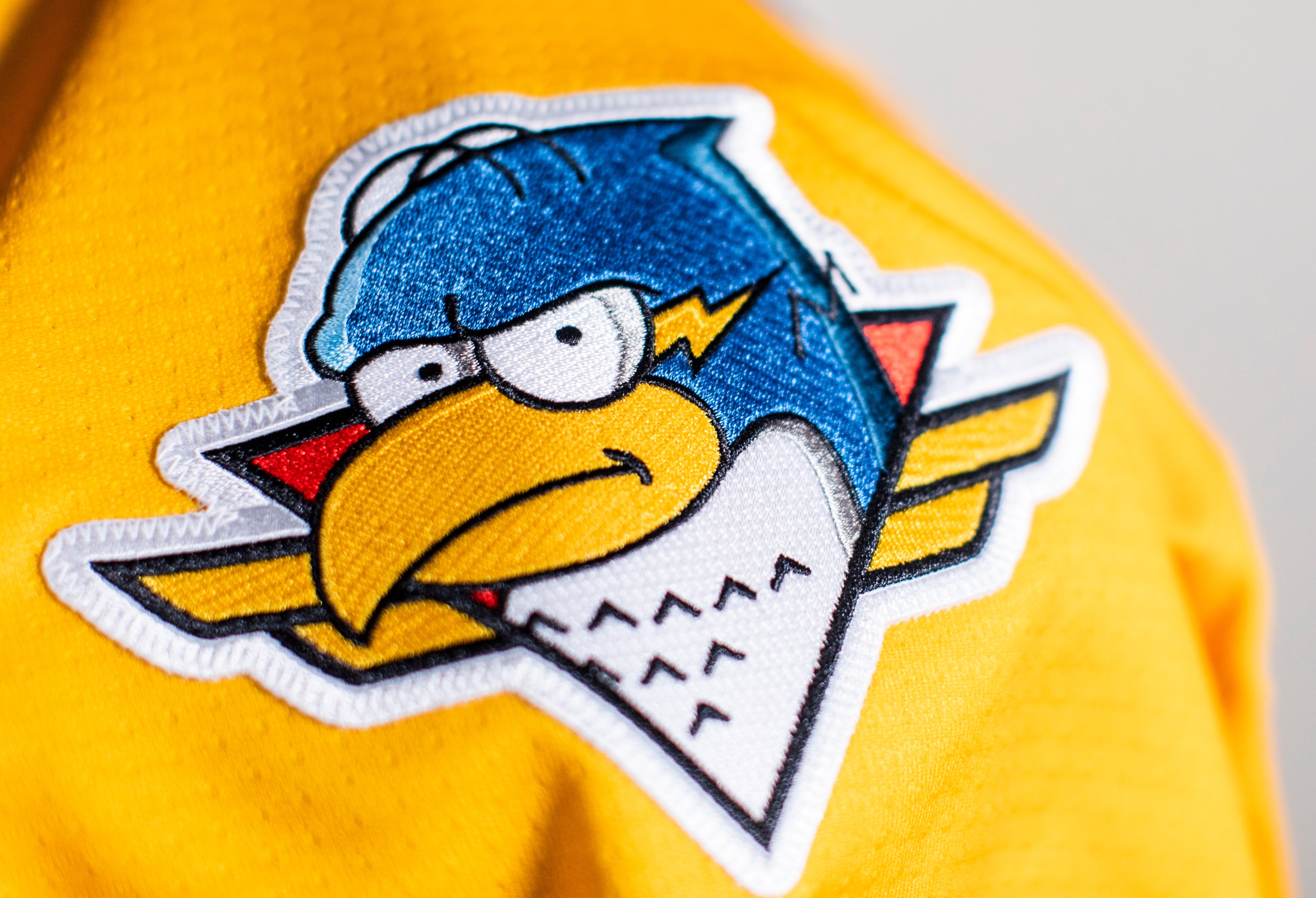 Springfield Thunderbirds on X: These Ice-O-Topes jerseys are