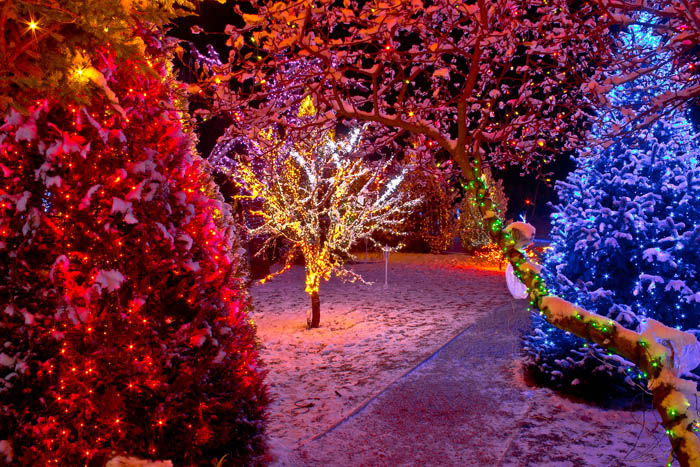 eventlightingbc tweet picture