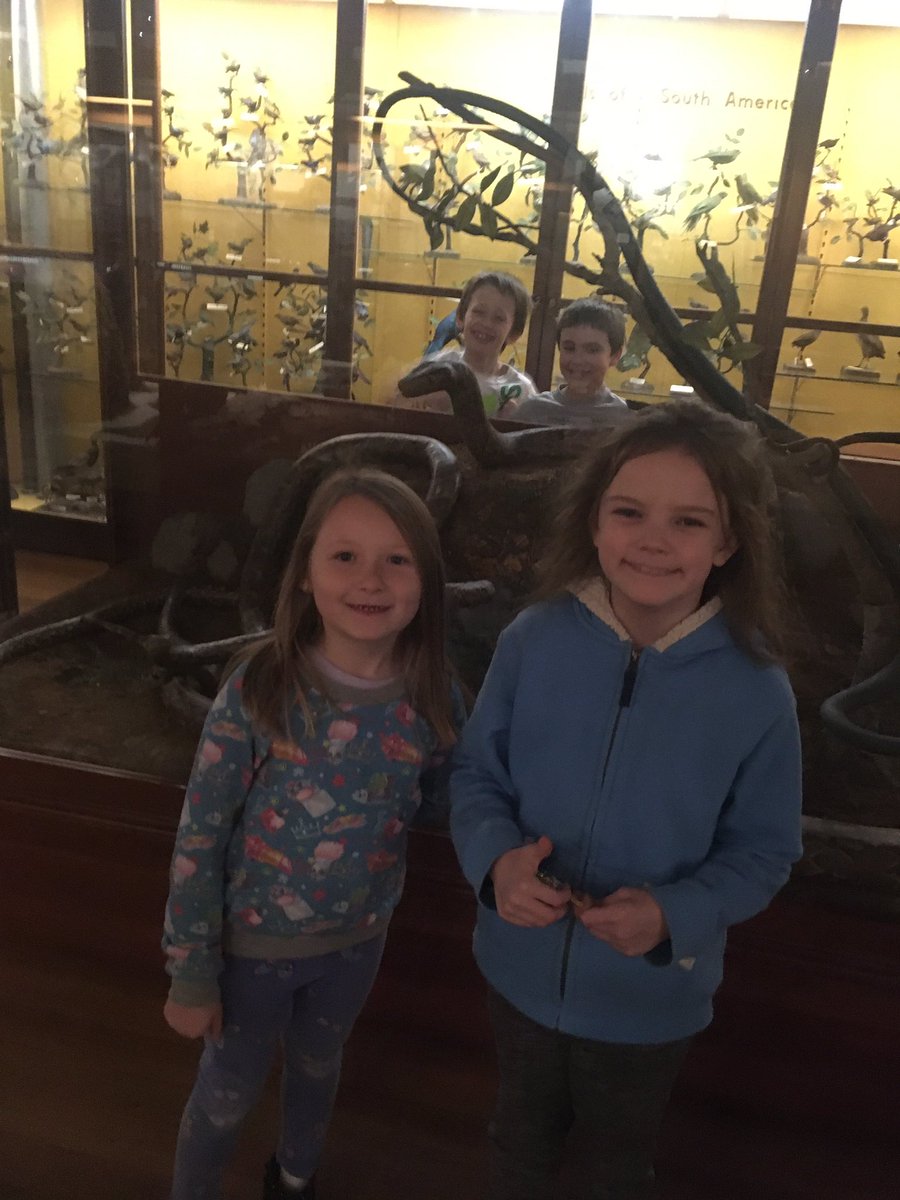 AprilDelphia1's tweet photo. We had a blast at the Fairbanks Museum and Planetarium! 🌜🌞🚀🛰🔭🌌 @SMS_Bolton @mmuusdvt @BTomasiGay https://t.co/Wyrf8TxTRT