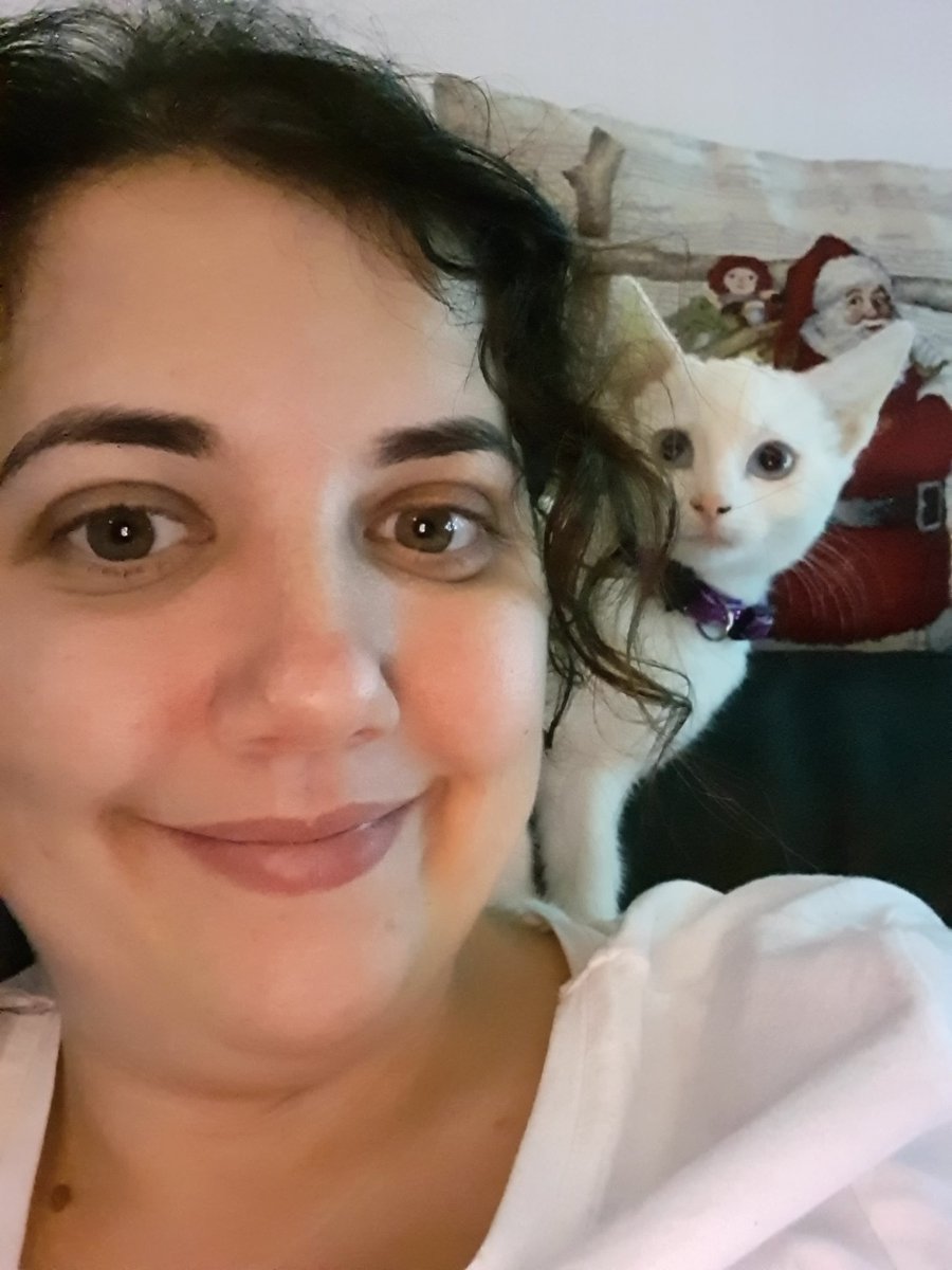 BellatrixKitten's tweet photo. What mischievous things can I do today. #mischievous #kitten #cats #kittens #BlueEyes #whitecat #troublemaker #playtime https://t.co/CBQME1pTkq