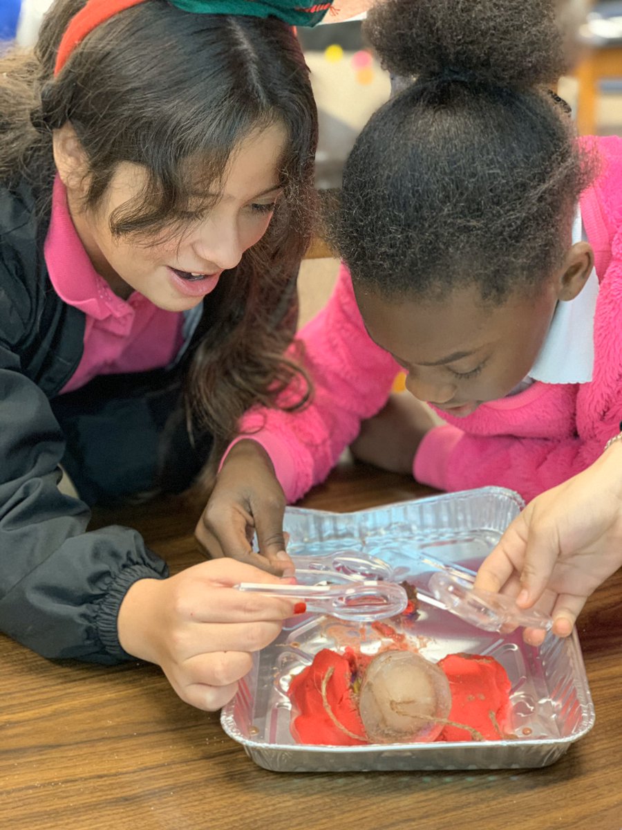 laurendwebb11's tweet image. Day 3️⃣

Ice ❄️

#CISDScienceRocks
#CrowleyPrideUnified 
@DeerCreekElem