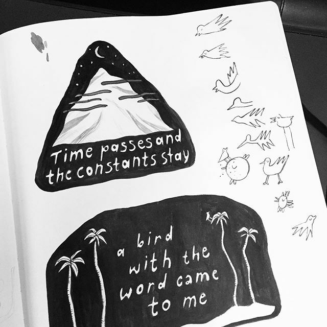 manolyaisik's tweet photo. Bird options ➰〰️➰ #sketchbook #brushpen #illustration #inkygoodness https://t.co/dezvNhqJWT