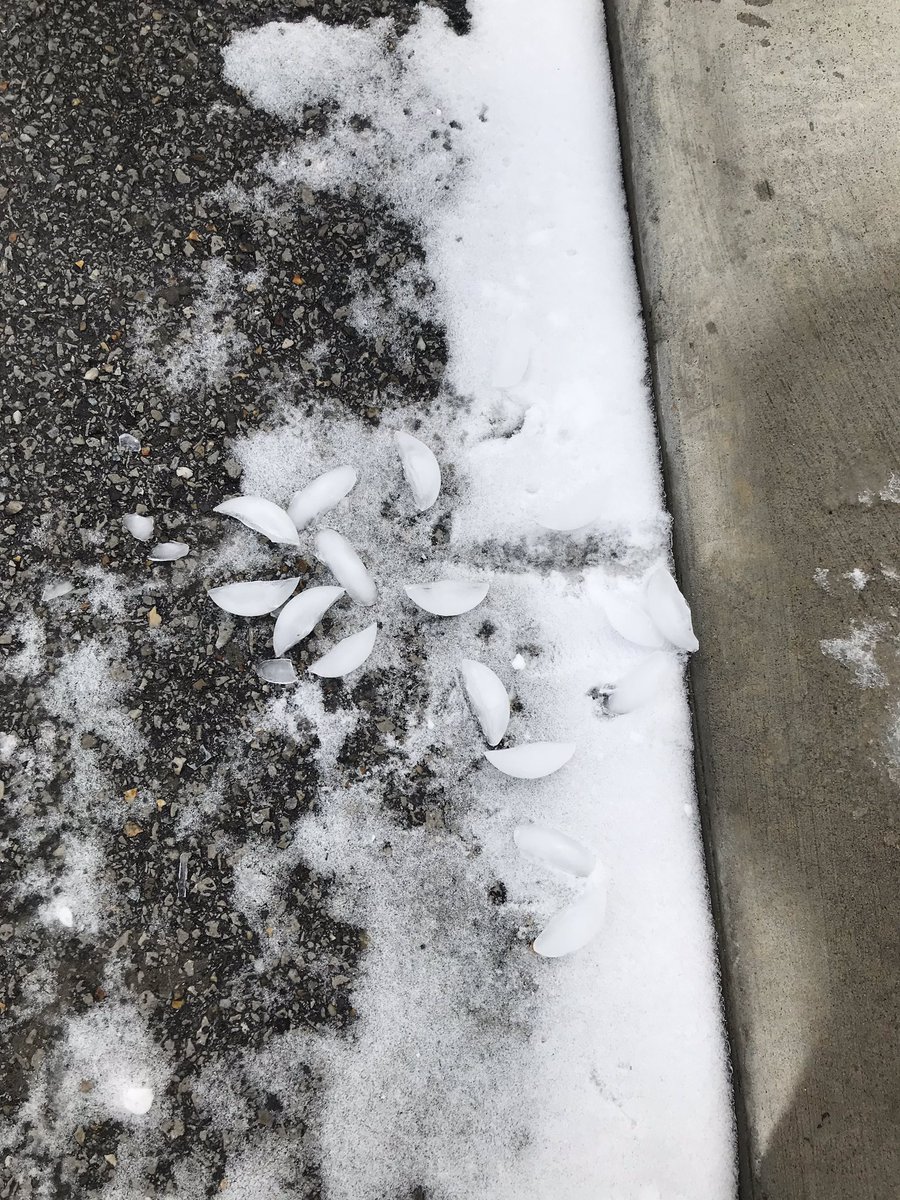 brefaircloth05's tweet photo. @kcooper1969 please drive down my road tonight before you make the call for school tomorrow! It’s still SUPER icy out 😜! #onemoreday? https://t.co/6hAk44qWfj