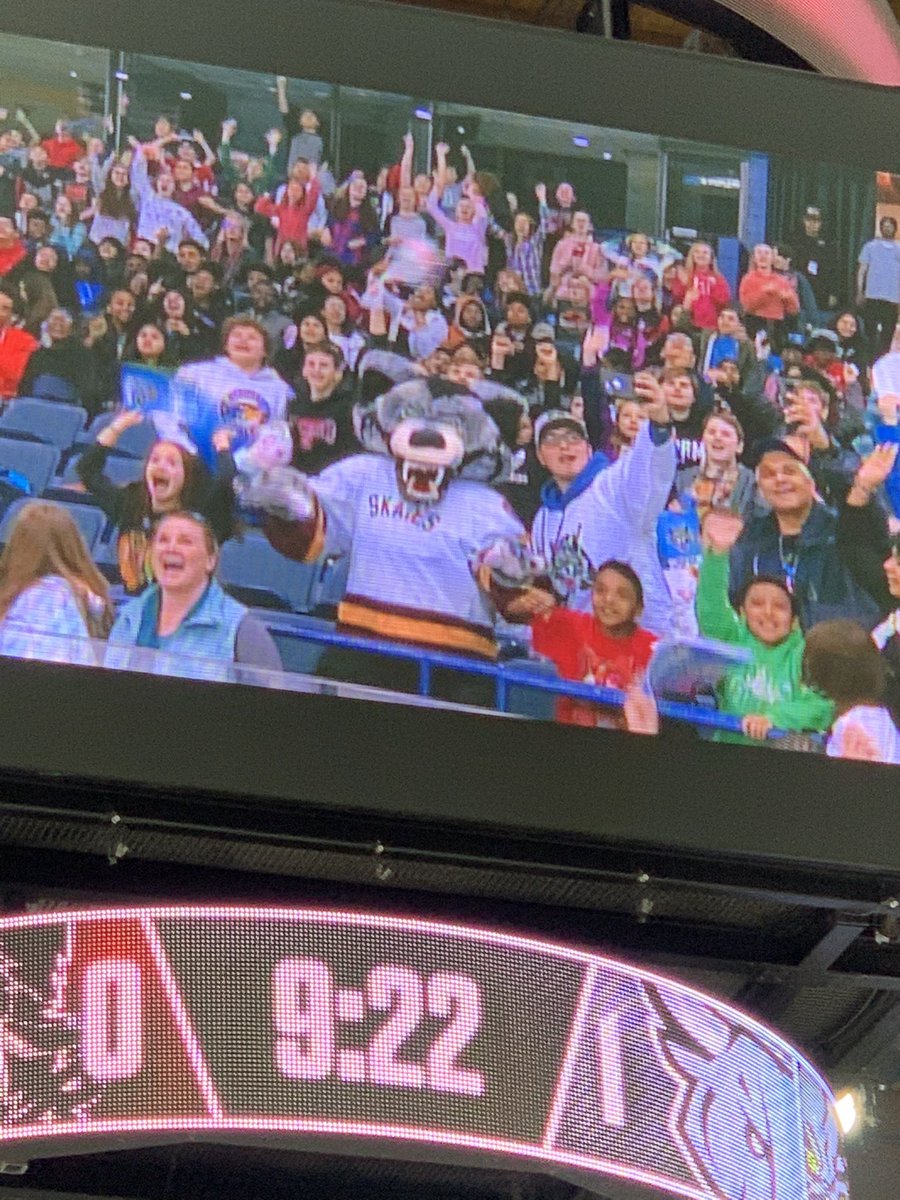 Miss Madej tweet media