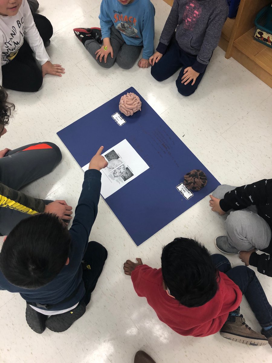 breda_45's tweet photo. Today was our Science Fair! Grade 4s demonstrated their learning of human impacts on a specific habitat and the Grade 5s used their inquiry skills to demonstrate their learning on a specific medical condition. Thank you to all the classes who joined us today :) @GermanMillsPS https://t.co/VGEdMExvwo