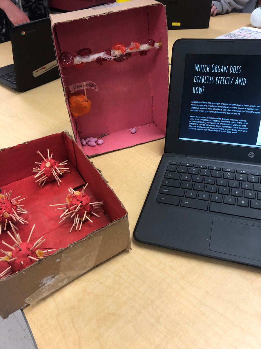 breda_45's tweet photo. Today was our Science Fair! Grade 4s demonstrated their learning of human impacts on a specific habitat and the Grade 5s used their inquiry skills to demonstrate their learning on a specific medical condition. Thank you to all the classes who joined us today :) @GermanMillsPS https://t.co/VGEdMExvwo