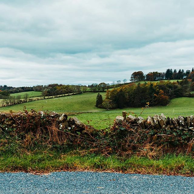 Road Side
-
-
-
#instatravel #trip #beautiful #travelgram #instapassport #instago #roadtrip #tourist #outdoors #explore #life #vacation #instagood #igtravel #holiday #sonyimages #holeinthewall
-
-
-
<a href="/mytinyatlas/">My Tiny Atlas</a> @unlimitedparadise <a href="/dametraveler/">Dame Traveler</a> <a href="/vacation/">Hanna Bradow</a>… instagram.com/p/B6MMeUshfes/