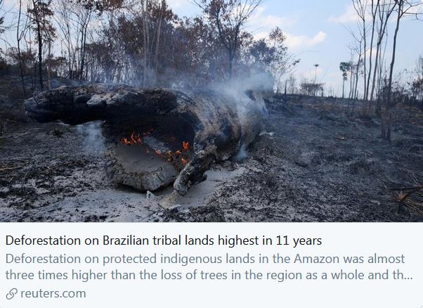 This is what the  #DeforestationCrisis looks like in  #SouthAmerica right now."Deforestation on protected indigenous lands in the  #Amazon was almost three times higher than the loss of trees in the region as a whole and the highest since 2008" https://www.reuters.com/article/us-brazil-environment/deforestation-on-brazilian-tribal-lands-highest-in-11-years-idUSKBN1YL2EE