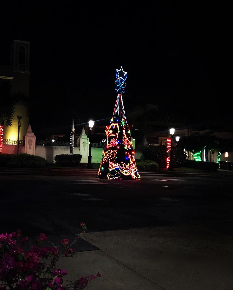 YVillarin's tweet photo. ¡Que hermosa està nuestra Plaza! @amigosdebayamon @ramonluisrivera #navidad #Bayamòn #debayamonpalmundo #whateverpuertorico #miciudad #PuertoRico https://t.co/4WzQQkNFmS