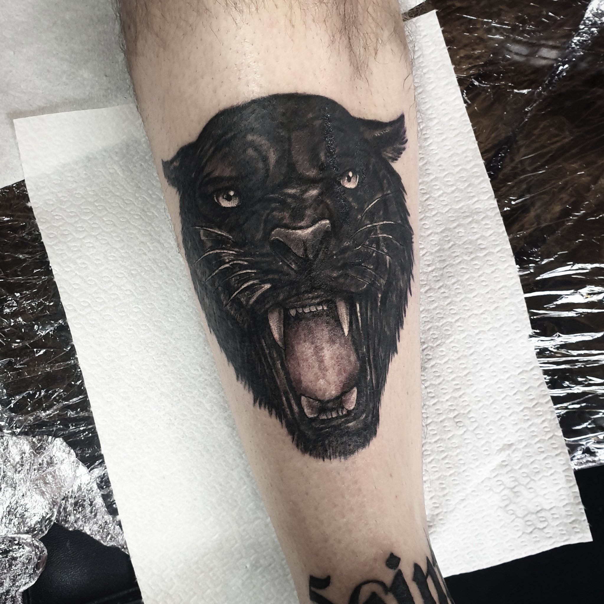 Black panther on shoulder | Realistic Panther on arm/shoulde… | Flickr