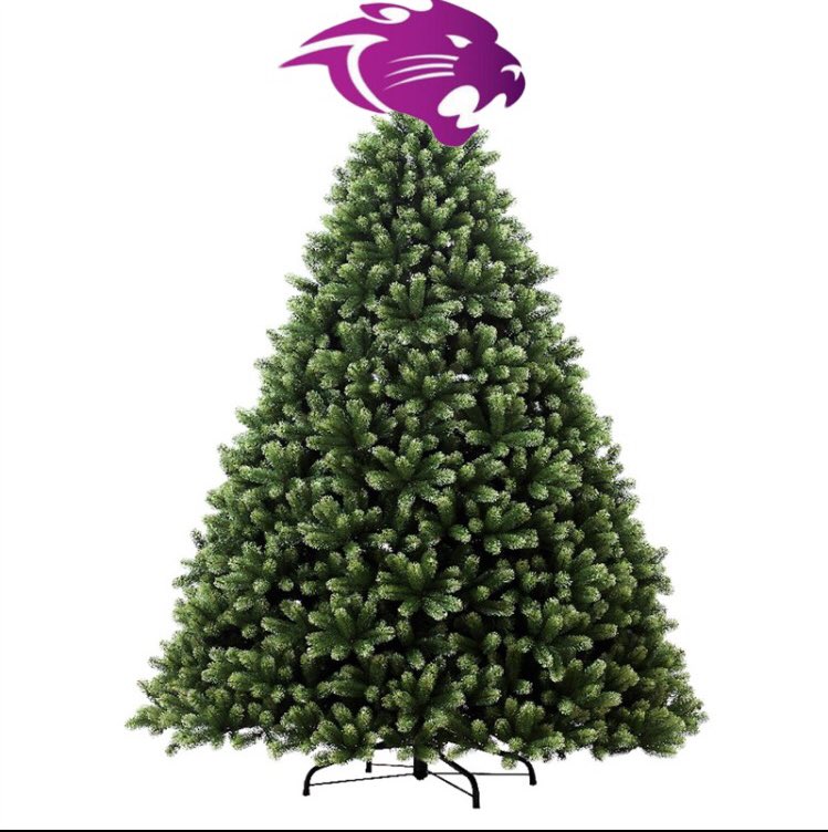 It’s not an angel on top this Christmas. It’s the panthers 💜